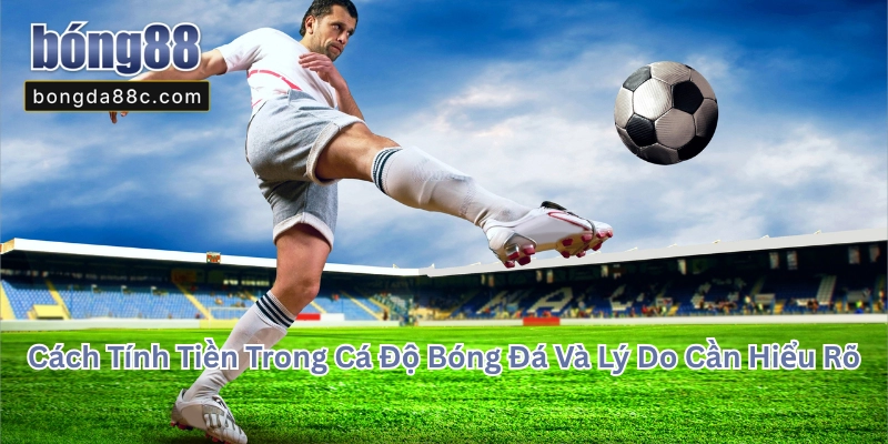 Cách Tính Tiền Trong Cá Độ Bóng Đá